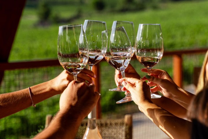 Dão wine terroir tasting