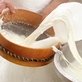 Serra da Estrela Cheese Tour