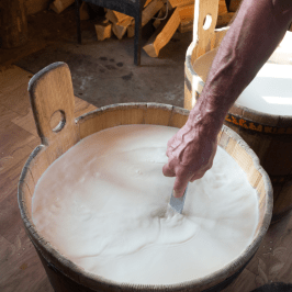 Serra da Estrela Cheese Tour