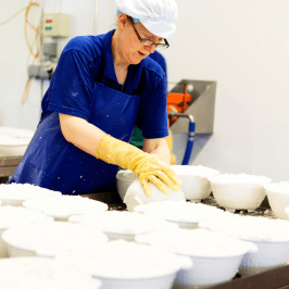 Serra da Estrela Cheese Tour