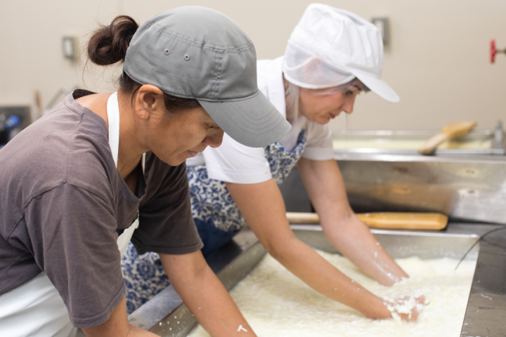 Serra da Estrela Cheese Tour