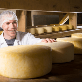 Serra da Estrela Cheese Tour