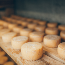 Serra da Estrela Cheese Tour