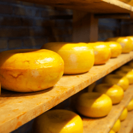 Serra da Estrela Cheese Tour