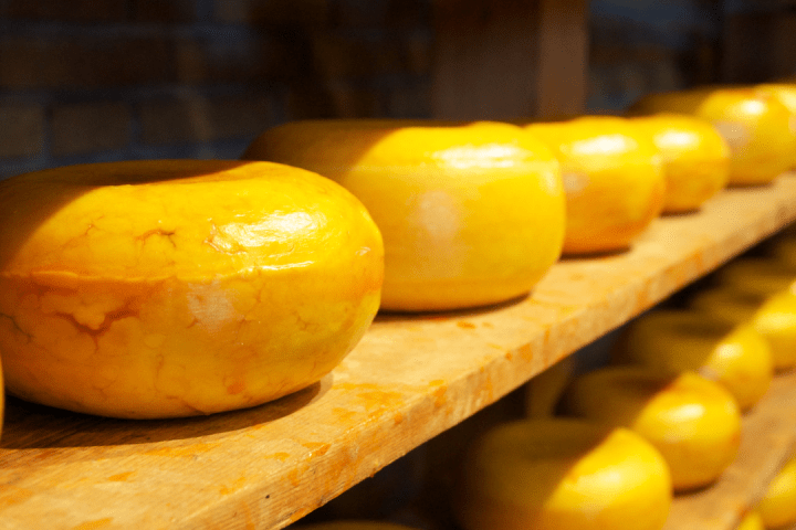 Serra da Estrela Cheese Tour