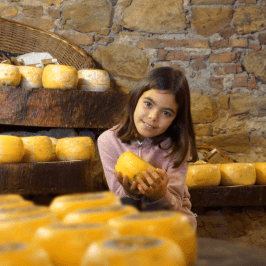 Serra da Estrela Cheese Tour
