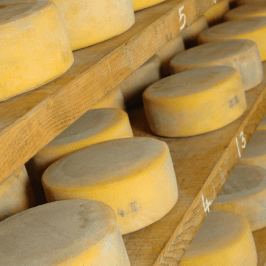 Serra da Estrela Cheese Tour