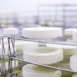 Serra da Estrela Cheese Tour