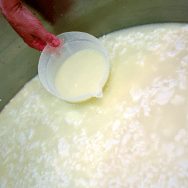 Serra da Estrela Cheese Tour