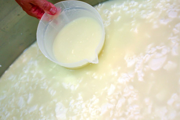 Serra da Estrela Cheese Tour