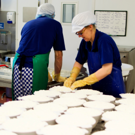 Serra da Estrela Cheese Tour