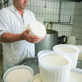 Serra da Estrela Cheese Tour