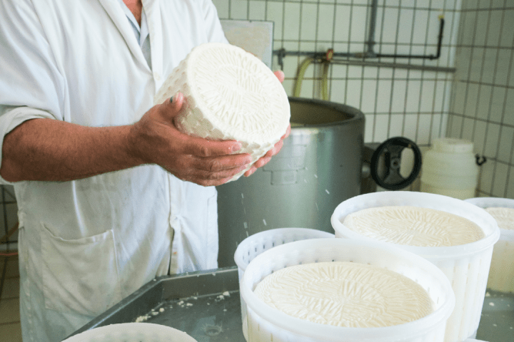 Serra da Estrela Cheese Tour