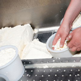 Serra da Estrela Cheese Tour