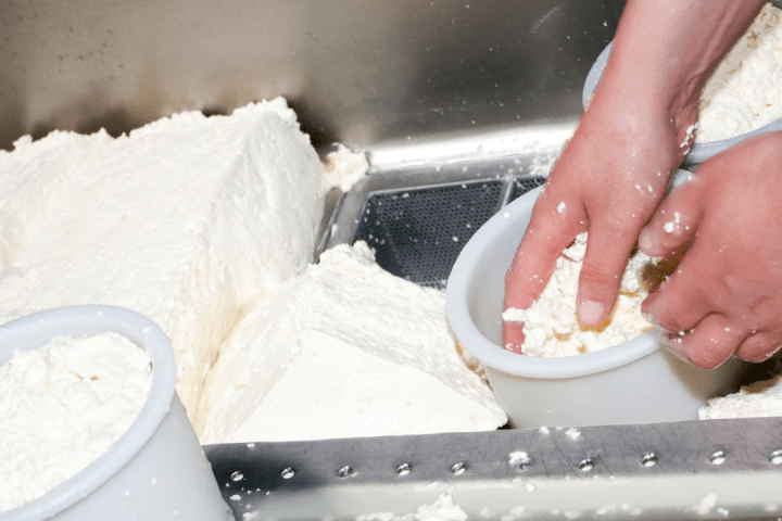 Serra da Estrela Cheese Tour