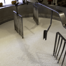 Serra da Estrela Cheese Tour