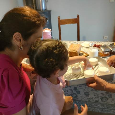 Viseu Goat Cheese Making tour