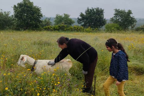 Viseu Goat Cheese Making tour