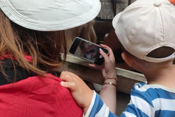 Viseu Goat Cheese Making tour