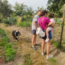 Viseu Goat Cheese Making tour