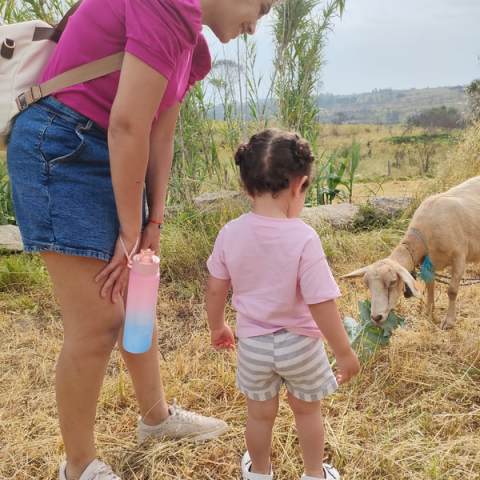 Viseu Goat Cheese Making tour