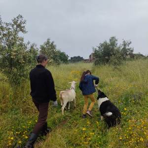 Viseu Goat Cheese Making tour