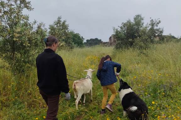 Viseu Goat Cheese Making tour