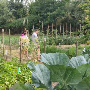 Viseu Goat Cheese Making tour