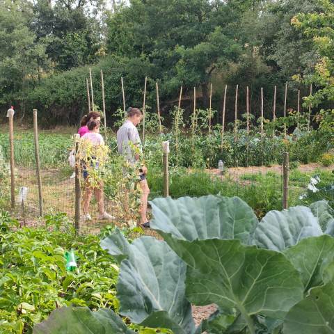 Viseu Goat Cheese Making tour