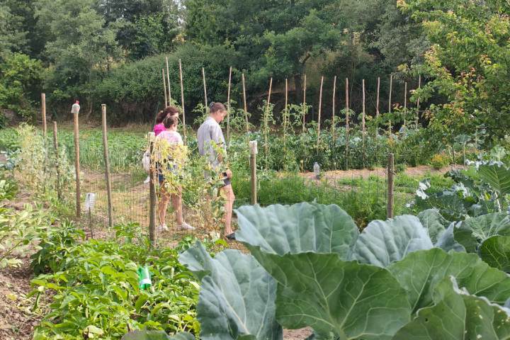 Viseu Goat Cheese Making tour