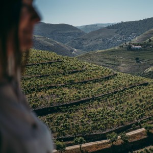 douro wine tasting