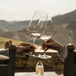 douro wine tasting