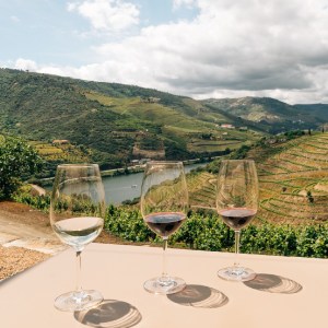 douro wine tasting