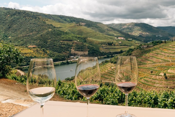 douro wine tasting