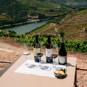 douro wine tasting