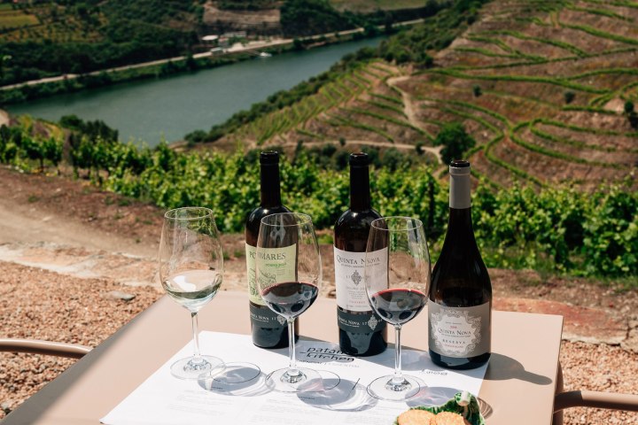 douro wine tasting