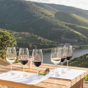 douro wine tasting