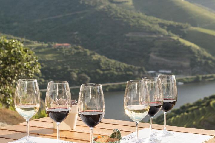 douro wine tasting
