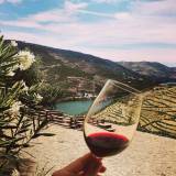 douro wine tasting