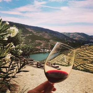 douro wine tasting