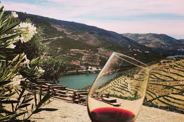 douro wine tasting