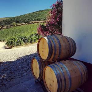 douro wine tasting
