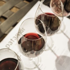 douro wine tasting