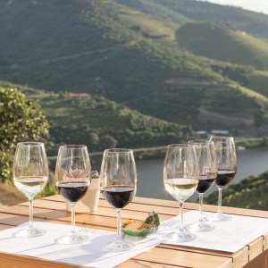douro wine tasting