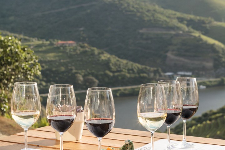 douro wine tasting