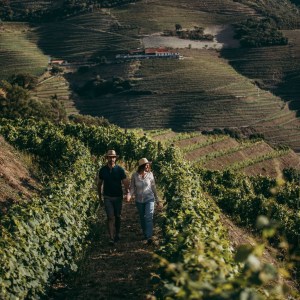 douro wine tasting