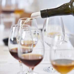 madeira food and wine tour