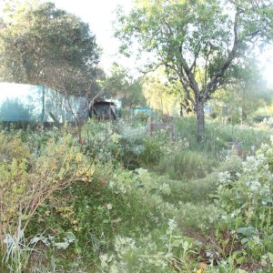 algarve permaculture tour