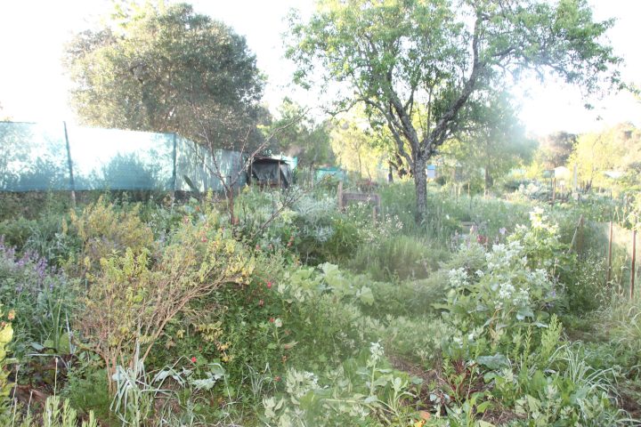 algarve permaculture tour