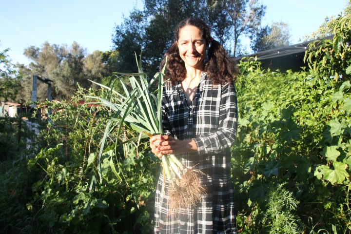algarve permaculture tour
